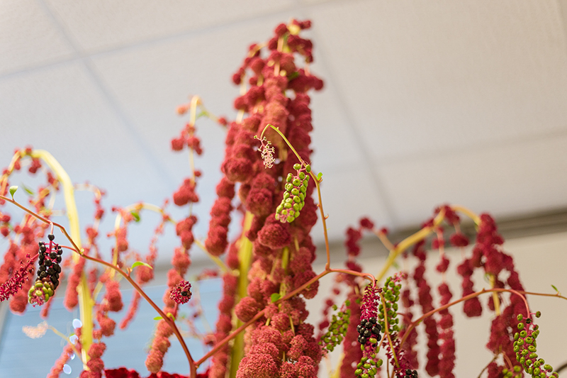 %_tempFileNameLAP-Florist-092019-196%