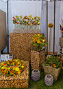 %_tempFileNameLAP-Florist-092019-108%